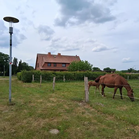 Helen Apartmán Geestland
